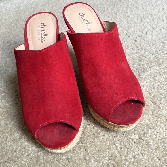 By Charles David Shoe. - Picture 4 of 4